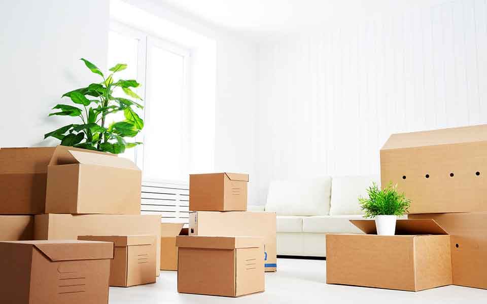 demenagement entreprise